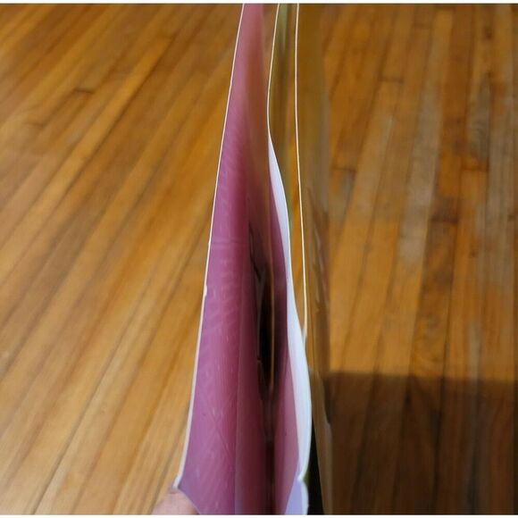 Nintendo 3DS Pokemon Moon And Sun Promo Posters - Picture 3 of 7